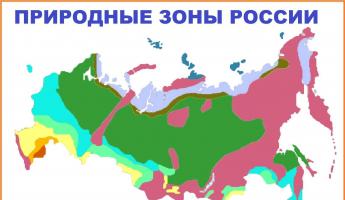 Сообщение по окружающему миру на тему: «Природные зоны России